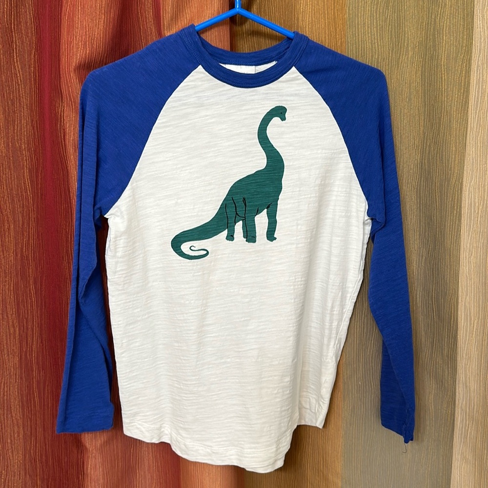 EUC - Hanna Andersson Boys’ Long Sleeve Tee - Dinosaur